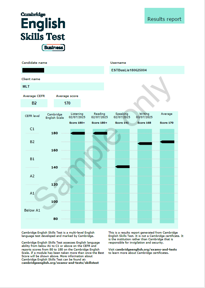 Business Results Report example_all skills marked.PNG