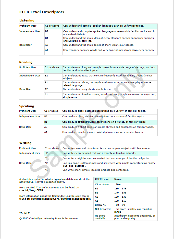 Business Results Report example_reverse.PNG